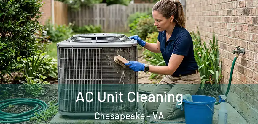  AC Unit Cleaning Chesapeake - VA