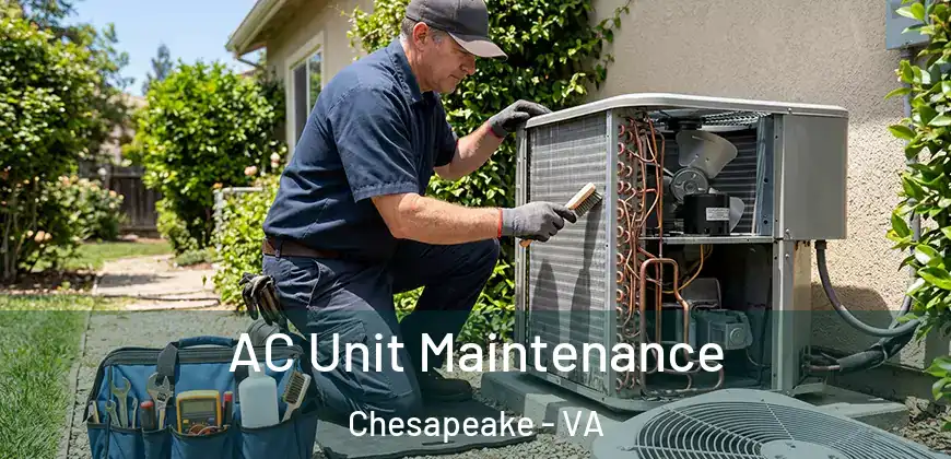  AC Unit Maintenance Chesapeake - VA